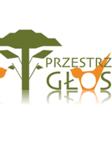 logo studia Przestrzeń Głosu