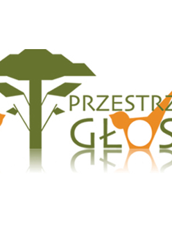 logo studia Przestrzeń Głosu
