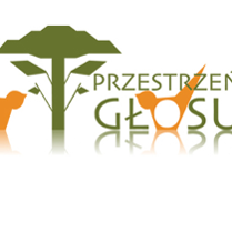 logo studia Przestrzeń Głosu