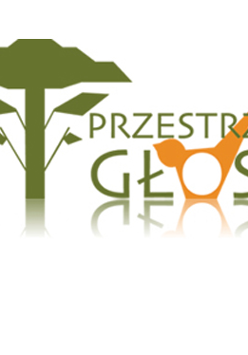 logo studia Przestrzeń Głosu