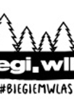 Logotyp biegi wlkp.