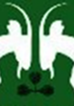 Logotyp Poznańskiej Asocjacji Brydżowej - na zielonym tle 2 białe, trykające się koziołki