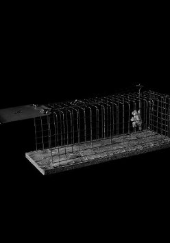 M. Bugalski, Klatka, 2019, fotografia, 60 x 80 cm