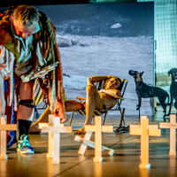 MALTA FESTIVAL. Armia wspólnoty