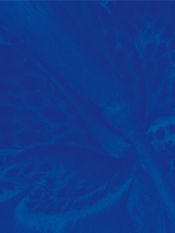 na mocnym niebieskiem tle delikatny jaśniejszy rysunek rośliny