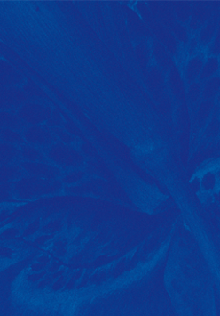 na mocnym niebieskiem tle delikatny jaśniejszy rysunek rośliny