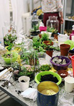 materiały do tworzenia lasu w słoiku