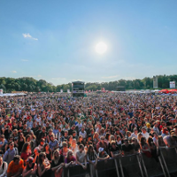 Męskie Granie "zagra sobie i wam"