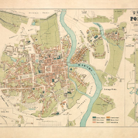 Miasto widziane z drzewa