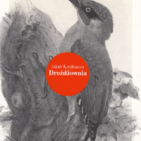 Między dziś a wczoraj