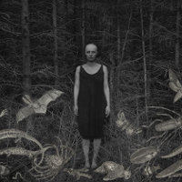 MILLENIUM DOCS AGAINST GRAVITY. Dzięki czemu patrzymy uważniej