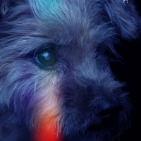 Miłość w skali mikro