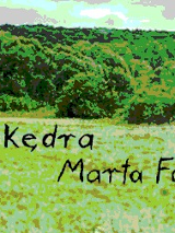 Obraz o niskiej rozdzielczości przedstawiający zielony krajobraz z napisem "Miłosz Kędra" oraz "Marta Forsberg".