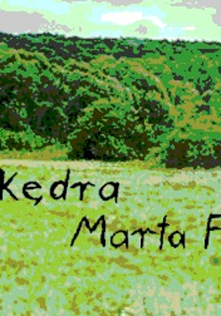 Obraz o niskiej rozdzielczości przedstawiający zielony krajobraz z napisem "Miłosz Kędra" oraz "Marta Forsberg".