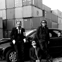 Misie grają rock'n'rolla