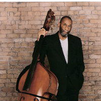 Mistrzowie czterech strun