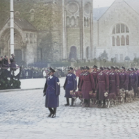 Morus i Gałka na tropie!