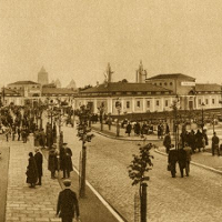 MTP i system naczyń połączonych