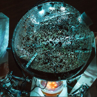 My, wspólny mechanizm