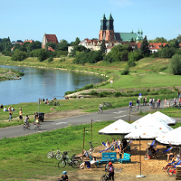 Nad rzekę, w cień drzew