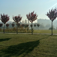 Nad Wartą, przy moście...