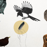 Najlepiej radzi sobie sama