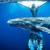 fot. Sebastian Gorgol