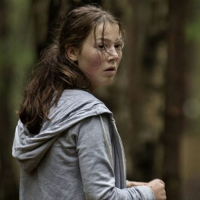 NIC SIĘ TU NIE DZIEJE. Estetyzacja grozy i ryzyko sensacji