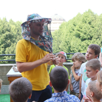 Nie takie pszczoły straszne