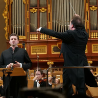 Niech żyje wrażliwość