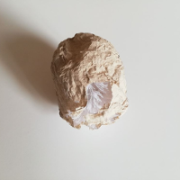 Niedopowiedzenia dnia codziennego