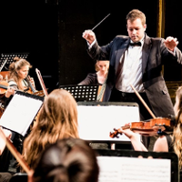 Niedźwiedzia symfonia