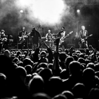 Niezakazane piosenki