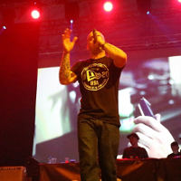 Noc rozgorączkowanych głów