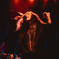 Nocne baśnie lady Gurevich