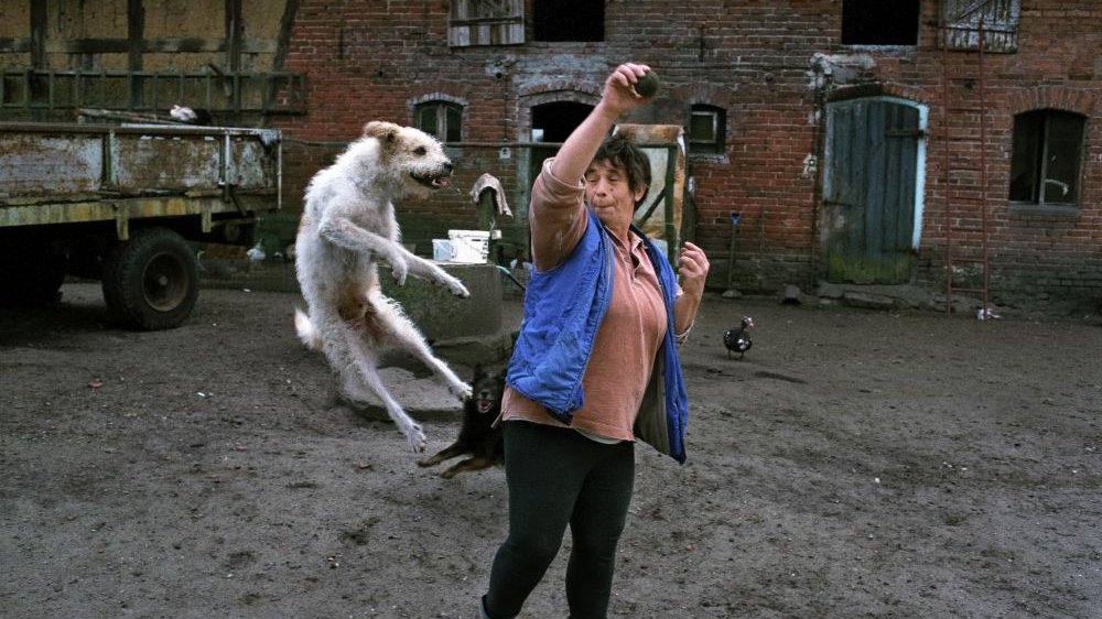 Kobieta w niebieskiej kamizelce bawi się z białym psem na podwórku swojego gospodarstwa. Pies skacze wysoko na jej znak.