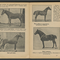 O uprawie roli i poznańskim handlu