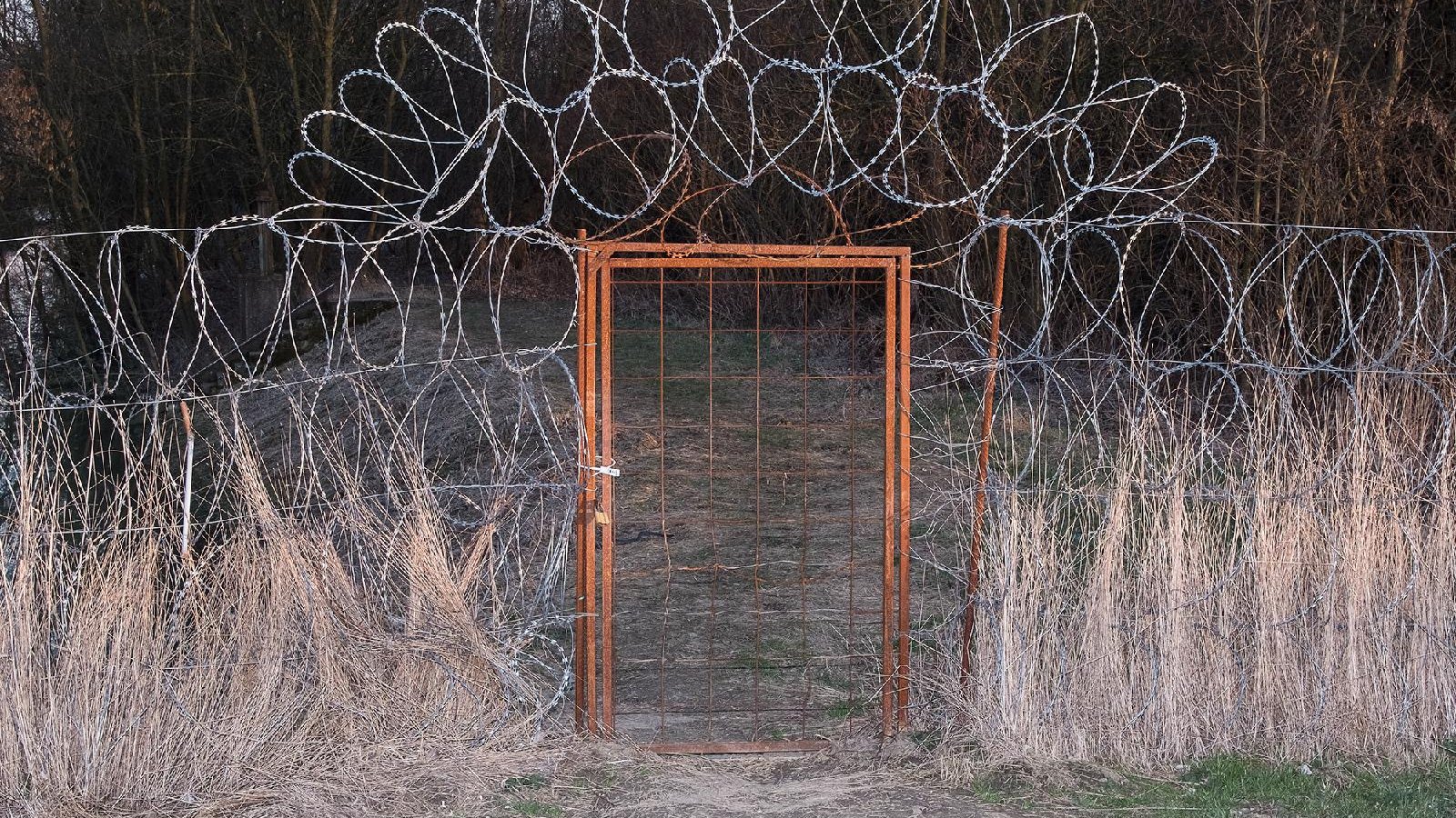 Pies o Dwóch Ogonach, fot. Michał Adamski