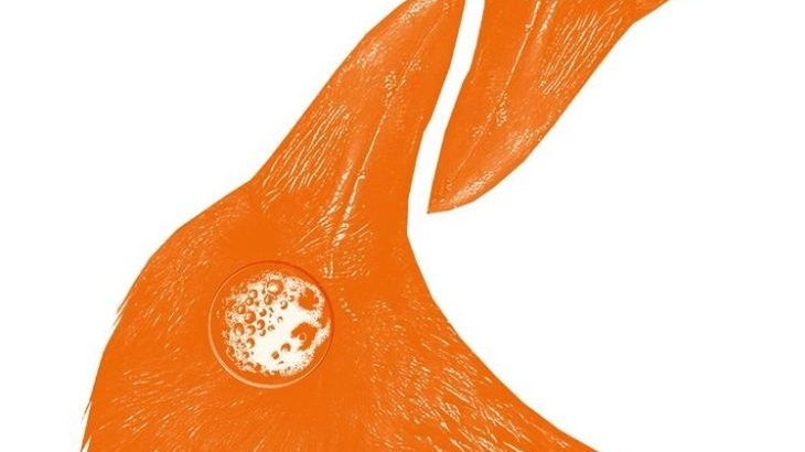 Okładka, przedstawia nieregularne esy-floresy w kolorach pomarańczowym i białym. Tytuł i autor zapisane czarną czcionką.