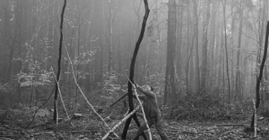 Czarno-białe zdjęcie lasu z wyciętymi drzewami. Mężczyzna przytrzymuje pień drzewa.