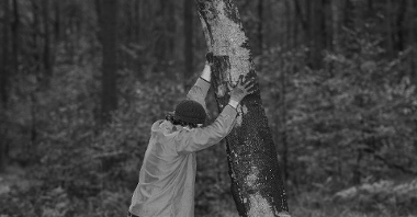 Mężczyzna podtrzymuje pień drzewa.