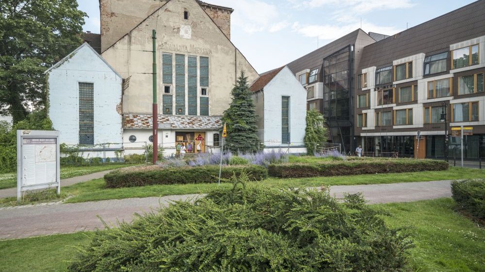 Zabytkowa synagoga w otoczeniu zieleni i innych, nowoczesnych zabudowań.