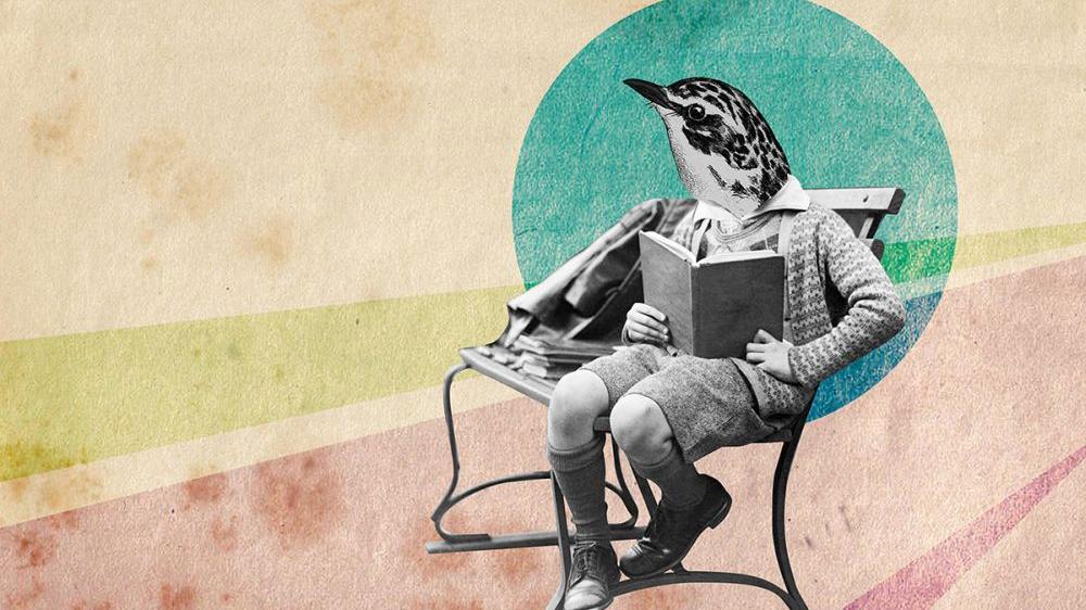 Na grafice w pastelowych kolorach jest siedzący człowiek z głową ptaka, który czyta książkę na ławce. Tło jest kolorowe, postać czarnobiała. - grafika artykułu