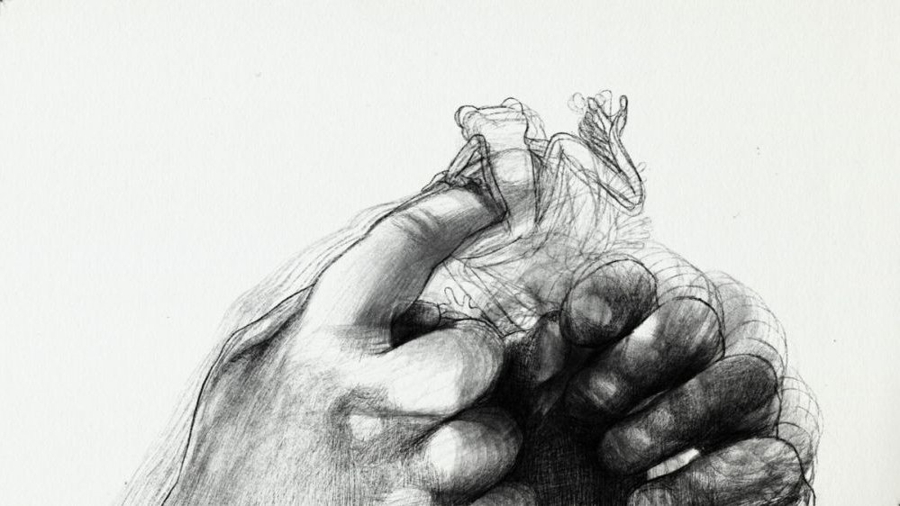 Ołówkowy szkic ludzkich rąk trzymających żabę.