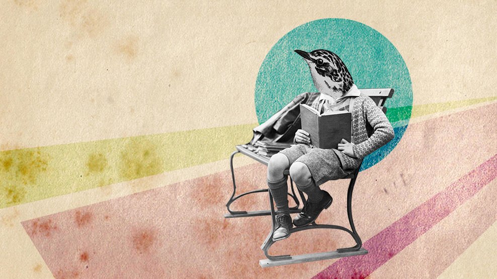 Na grafice w pastelowych kolorach jest siedzący człowiek z głową ptaka, który czyta książkę na ławce. Tło jest kolorowe, postać czarno-biała.