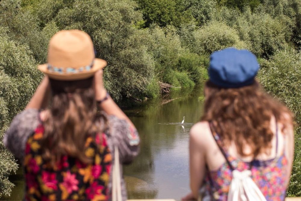 Dwie kobiety stojące tyłem patrzą na rzekę. Na wodzie widać czaplę, dookoła rzeki bujną roślinność. - grafika artykułu