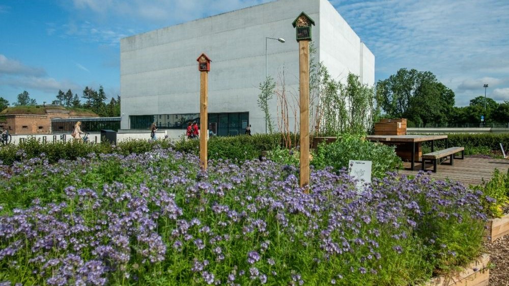 Szara bryła budynku Bramy Poznania w otoczeniu kwiatów.