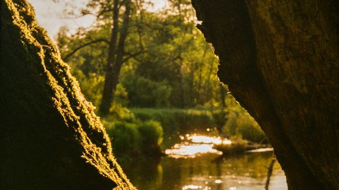 Przez szparę między dużymi, pokrytymi zielonym mchem kamieniami, widać fragment rzeki, odbijającej się w słońcu. Dalej, na brzegu rzeki, stoi drzewo.