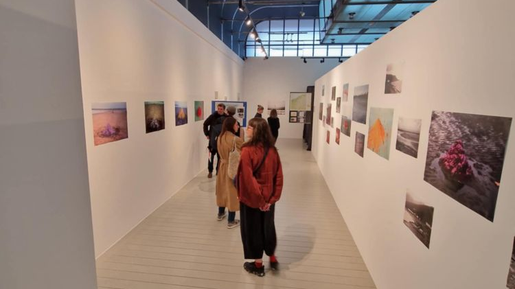 Ludzie chodzą po galerii, oglądają zdjęcia wiszące na białych ścianach.