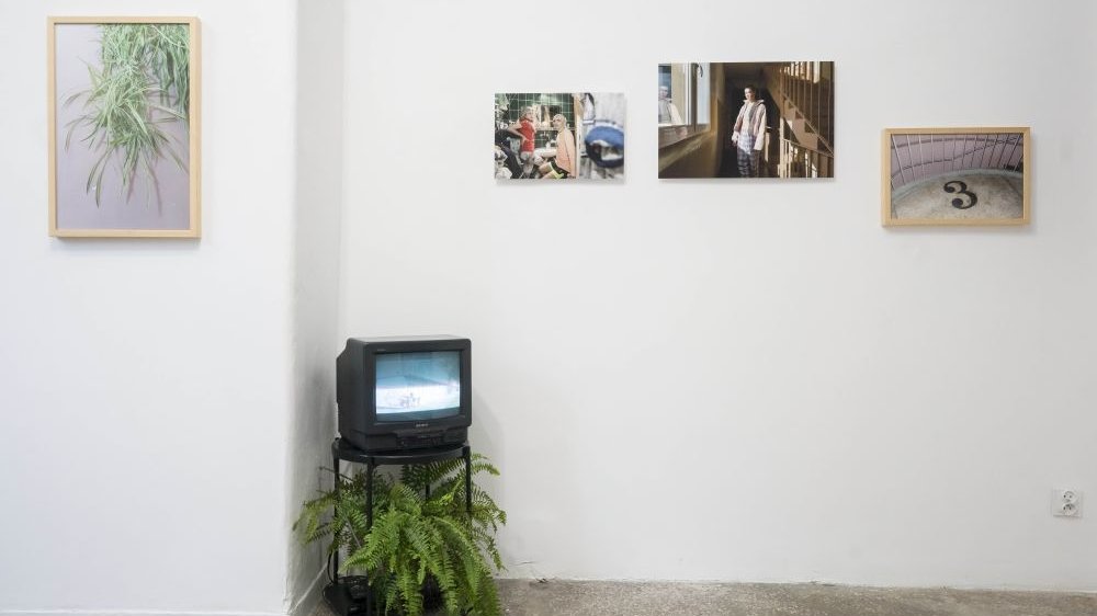 Telewizor kineskopowy z paprotką w rogu pomieszczenia. Na ścianach fotografie.